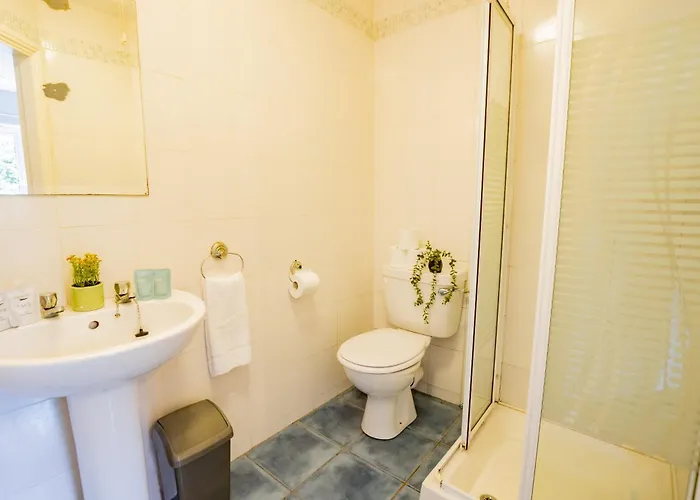 公寓 72 - Large Three Bed With Parking 戈尔韦